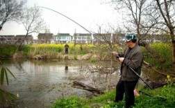 到了春天钓鱼怎么样，到了春天钓鱼怎么样好钓吗
