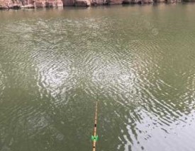 永宁江钓鱼怎么样，永宁河可以钓鱼吗