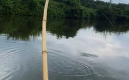 小洞竹竿钓鱼怎么样，小竹竿钓鱼视频！