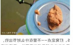 寒露以后钓鱼怎么样，寒露以后钓鱼用什么饵料