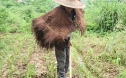 小陶湖口钓鱼怎么样，小陶湖口钓鱼怎么样呀