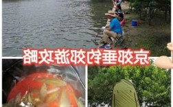 京郊山里钓鱼怎么样？北京郊区钓鱼好去处？