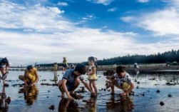 夏季赶海怎么样钓鱼，夏天赶海