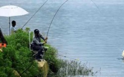 雨天钓鱼会怎么样，雨天钓鱼需要注意什么