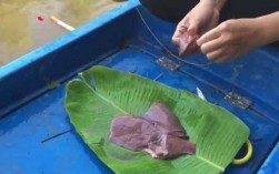 猪肝捣碎钓鱼怎么样，用猪肝能钓到鱼吗？