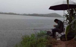 雨后早上钓鱼怎么样，下雨过后早上好钓鱼吗！