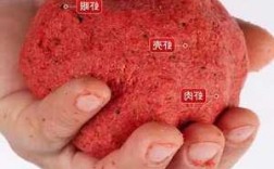 虾肉泥钓鱼怎么样，虾泥钓饵！