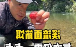 白面筋钓鱼怎么样？白面筋钓鱼怎么样好钓吗？