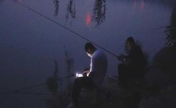 晚上河边钓鱼怎么样，晚上河边钓鱼真实图片