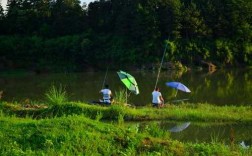 滨江湿地钓鱼怎么样，滨江湿地钓鱼怎么样啊？