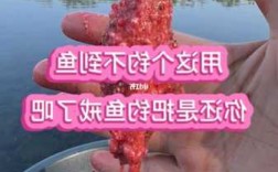 怎么样能戒掉钓鱼，怎么样戒掉钓鱼瘾？