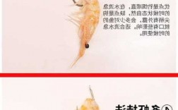 磷虾挂钩钓鱼怎么样，磷虾钓淡水