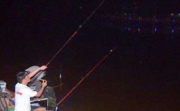 夏天夜里钓鱼怎么样？夏天夜晚怎么钓鱼？