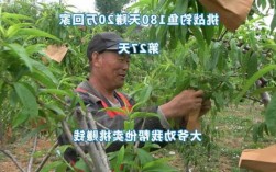 果子钓鱼直播怎么样，果子钓鱼直播怎么样才能赚钱？