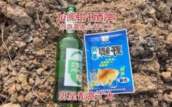 啤酒用来钓鱼怎么样，啤酒钓鱼窝料？