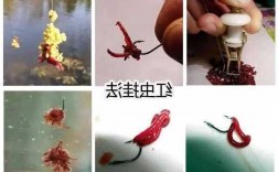 怎么样串红虫钓鱼，红虫串钩怎么挂红虫！