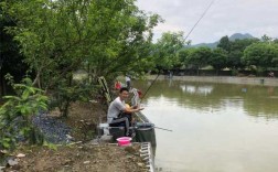 奋斗钓鱼俱乐部怎么样，奋斗水库简介