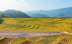 天人山水钓鱼怎么样，广州天人山水旅游管理有限公司！