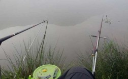 湖尽头钓鱼怎么样，主玩岩雀的主播？