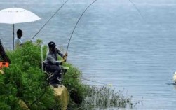 夏天雨天钓鱼怎么样，夏天雨季钓鱼！