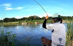 夏季浅水钓鱼怎么样，夏季浅水钓鱼技巧