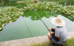 石臼港钓鱼怎么样，石臼湖钓鱼在哪钓好？