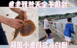 长岛钓鱼烧烤怎么样？长岛 钓鱼？