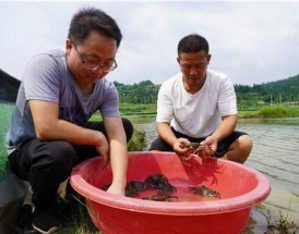 咸阳水产钓鱼怎么样，咸阳水产钓鱼怎么样啊