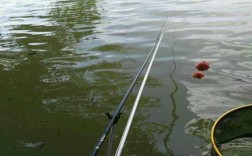 细线钓鱼效果怎么样？细线和细线对钓鱼的影响？