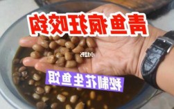 青鱼钓鱼大师怎么样，青鱼钓法及饵料配方？