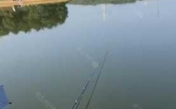 当阳河畔钓鱼怎么样，当阳河流！