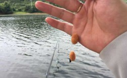苹果鱼饵钓鱼怎么样，苹果钓鱼一般钓什么鱼！