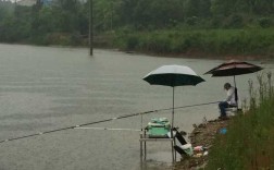 谷雨涨水钓鱼怎么样，谷雨能钓鱼吗！