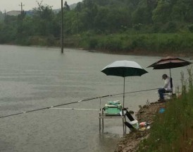 谷雨涨水钓鱼怎么样，谷雨能钓鱼吗！