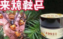 马蜂钓鱼效果怎么样？马蜂诱蜂技巧和方法？