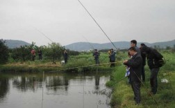 贵州燕子钓鱼怎么样，贵州燕子科技有限公司？