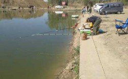 新疆坑里钓鱼怎么样，新疆能钓鱼的水库！