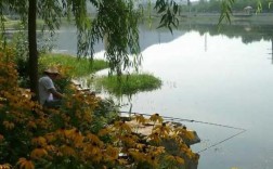 大兴夏天钓鱼怎么样，大兴野钓去哪条河？