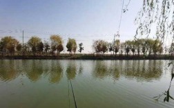 东江白马钓鱼怎么样，杭州东白马湖垂钓区域？