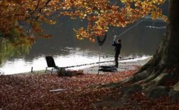 秋天钓鱼情况怎么样？秋天钓鱼的最佳位置？