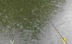 萍乡雨天钓鱼怎么样，江西萍乡雨水多吗？