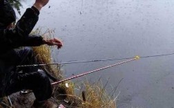 雨后钓鱼效果怎么样，雨后钓鱼效果怎么样啊？