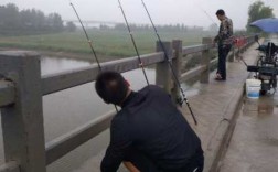 雨停了钓鱼怎么样，雨停了钓鱼好钓吗？