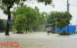 从化暴雨钓鱼怎么样，从化暴雨水灾最新消息！