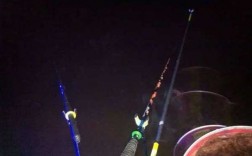 冬夜钓鱼直播怎么样，冬季夜钓选点？