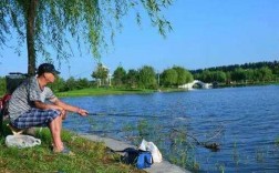 夏天在家钓鱼怎么样，夏天钓鱼的最佳位置！
