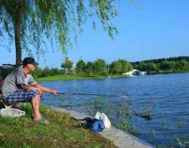 夏天在家钓鱼怎么样，夏天钓鱼的最佳位置！