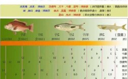 科学钓鱼主线怎么样，科学钓鱼i？