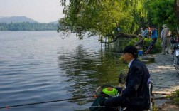 西湖出口钓鱼怎么样，杭州西湖景区钓鱼
