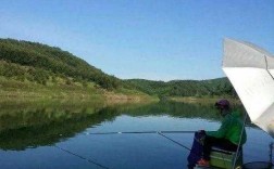 新疆湖里钓鱼怎么样？新疆能钓鱼的水库？